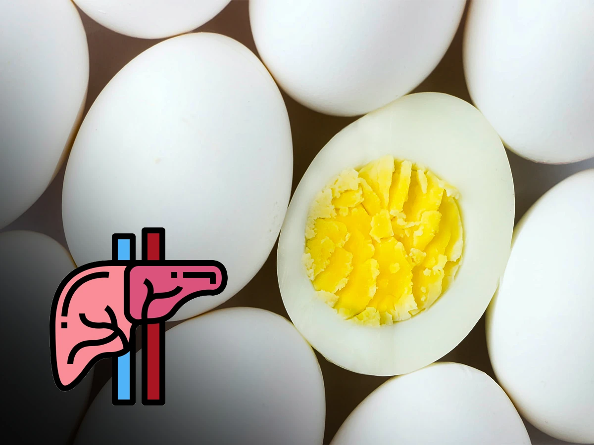 Are Eggs Good for the Liver?